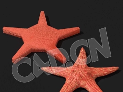 C4D海星模型 Starfish 3d model