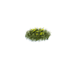 野草植物杂草模型下载simple grass medium v2