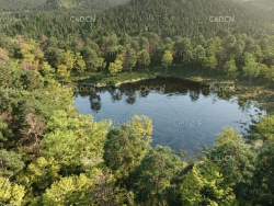 森林公园人造湖湖泊3D场景模型(MAX模型) Nouvelle Mesure Lab – Beaver Lake Pack