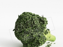 西兰花蔬菜C4D模型 Broccoli
