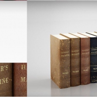 破旧的外文书籍C4D模型 Foreign books 3D model