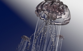 水母C4D模型 jellyfish