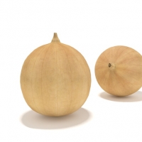 洋葱头C4D模型 onion