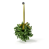 圣诞节装饰品：圣诞绿色植物C4D模型 Christmas greenery 3D model
