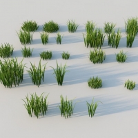 绿草、青草、嫩草C4D模型 wild-grass