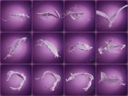 【高清3D液体飞溅模型】Liandi CGI 21款流体水花牛奶喷溅特效包.blend/.c4d/.fbx格式Liandi CGI Splash Pack - add 3d splashes to your product renders