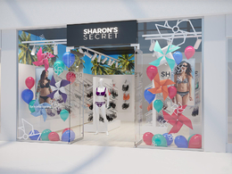 店铺装修：女性内衣商店