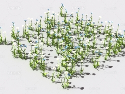 普通花草植物C4D模型 pattern_common-flower-3