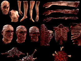 36个恐怖丧尸人体部位3D模型Gore Horror Props Megapack
