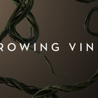 灰猩猩Cinema 4D榺蔓模型：Freebie: Growing Vines in Cinema 4D