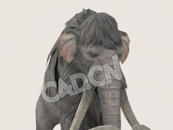 C4D猛犸象模型（包含骨骼绑定动画) Mammoth_Run_F 3D Model