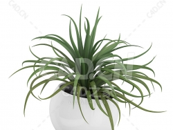 C4D吊兰办公室客厅盆栽绿植模型