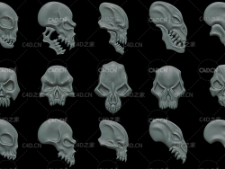 15个骷髅头C4D模型 Fantasy Ornaments
