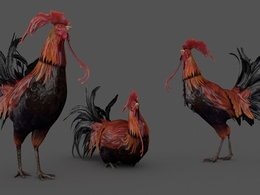 大红公鸡C4D模型（8套绑定动画）Town Chicken 3d model