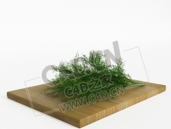 菜板上的蔬菜茴香C4D模型 fennel