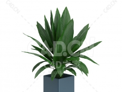 C4D苏铁办公室客厅盆栽绿植模型