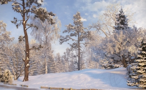 冬天大雪覆盖树林C4D场景 The winter snow covered forest scene