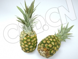 C4D菠萝水果模型 Pineapple 3d Model
