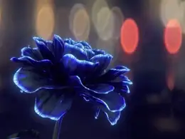 C4D创建一个紫色花卉生长无限开放的动画教程