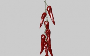 农家乐模型：干辣椒C4D模型 Dry pepper 3D model