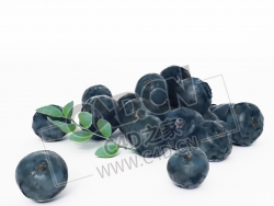 蓝莓果实带叶子的蓝莓水果C4D模型 Blueberry
