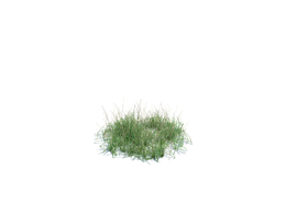 绿草地simple grass medium v2