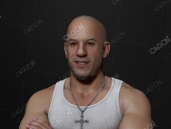 美国动作电影演员范·迪塞尔抱手臂半身像人物角色模型Vin Diesel