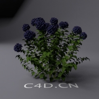 景观花草模型：蓝色花C4D模型 Landscape plants model