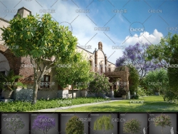 40套实用的网站带树木模型合集 Evermotion – Archmodels vol. 210