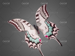 低面蝴蝶飞行动画C4D模型 butterfly