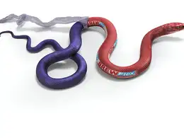 C4D蛇蜕皮创意广告设计 SNAKE