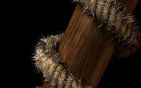 Reeper 2.02 R16 希格斯玻汉化版