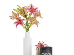 21套室内装饰品C4D模型合集 DECORATIONS