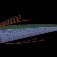 海洋动物模型：鱼3D模型 Ryungun