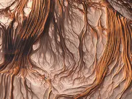 C4D实用工程第139季：神奇的大地-树根C4D工程文件 c4d project