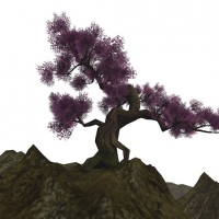 桃花树木C4D模型 peach blossom