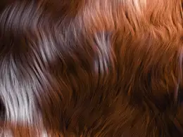 C4D实用工程第133季：柔软的褐色毛发动画C4D工程文件 c4d project