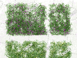 四个爬藤植物花卉牵牛花篱笆墙模型