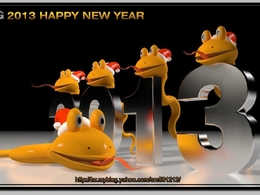 2013癸巳蛇年 HAPPY NEW YEAR