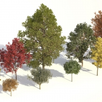 C4D/Max植物树木生成插件 Laubwerks Plants Kits 1-3 v1.08 C4D/MAX Win/Mac