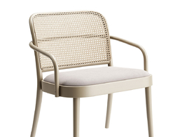 软垫休闲扶手椅舒适座椅（Ton品牌）3D模型素材下载Lounge Armchair Upholstered by To