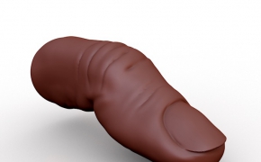 手指头、大拇指C4D模型 Finger, thumb 3D model