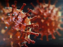 新型冠状病毒C4D Arnold模型 Cinema 4D 3D Model Corona Virus