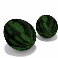 西瓜C4D模型 watermelon
