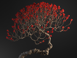 红梅花卉盆景c4d模型下载