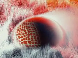 C4D实用工程第109季：毛发圆球创意C4D工程文件 c4d project