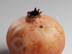 C4D石榴模型 Pomegranade