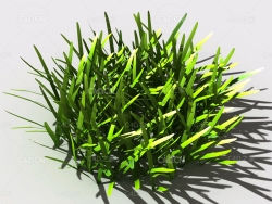 草坪草地绿草植物C4D模型 lawn-grass-c2