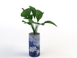 室内装饰植物C4D模型(8) Interior plants 3d model