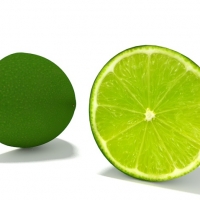 酸橙 青柠 绿檬C4D模型 lime